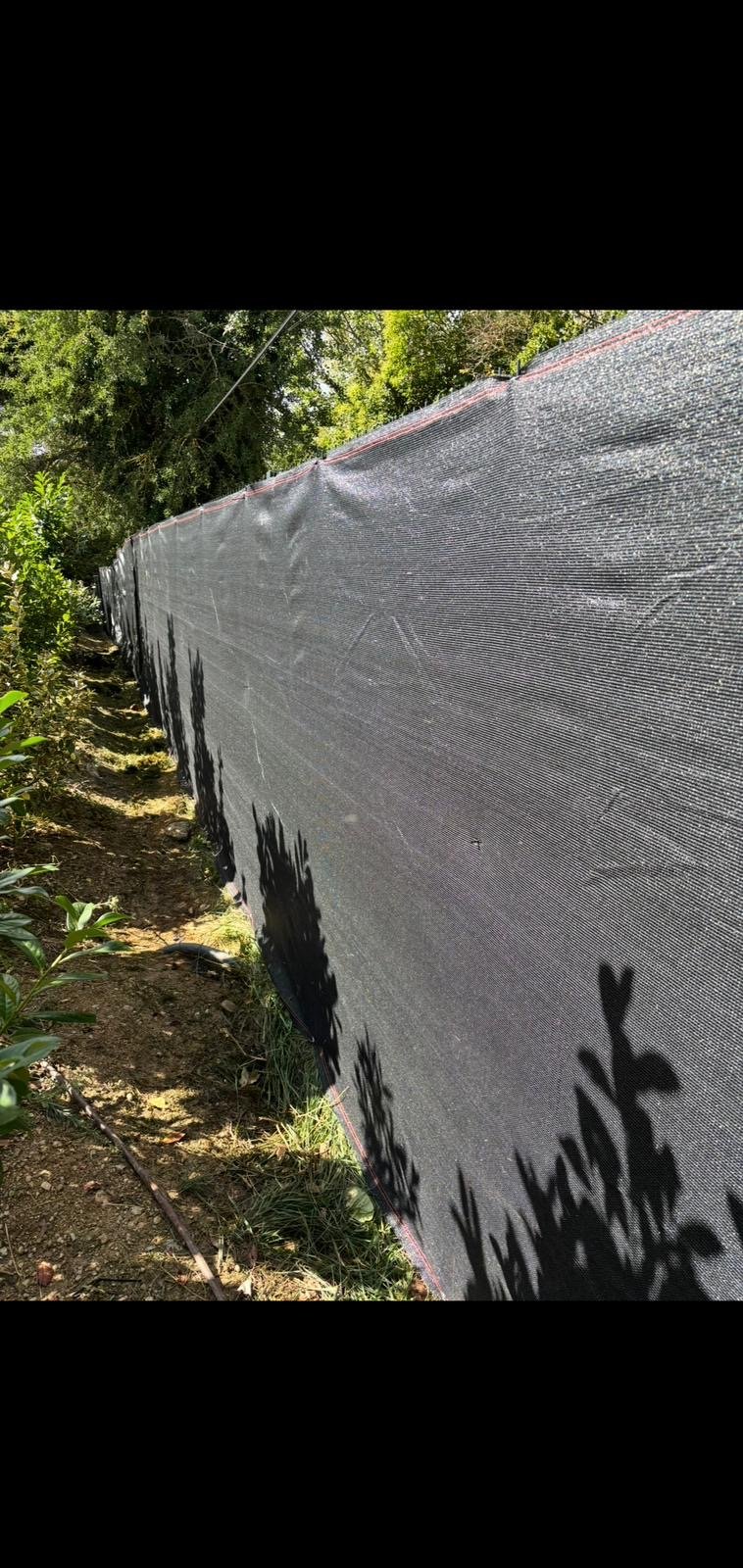 Haies parfaitement taillées après intervention